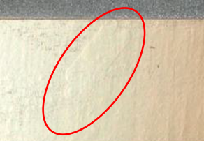 仕上げ後の写真